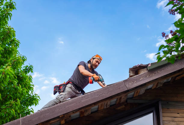 Best Sheet Metal Roofing  in Tamaqua, PA
