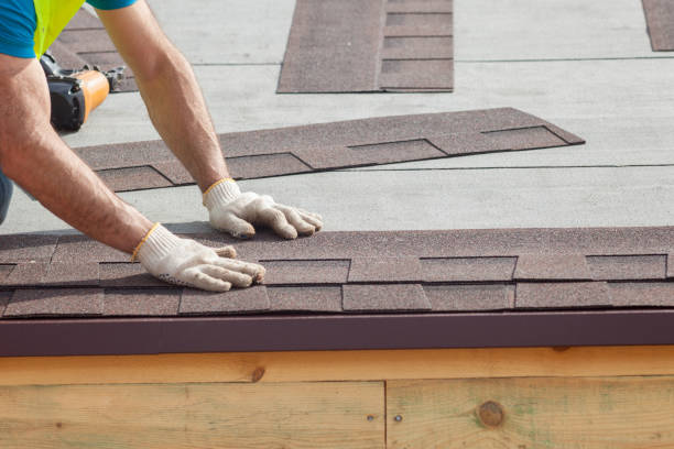 Best Asphalt Shingle Roofing  in Tamaqua, PA